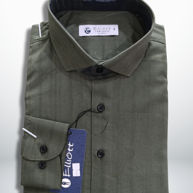 Camisa Elliott Slim Fit – Verde